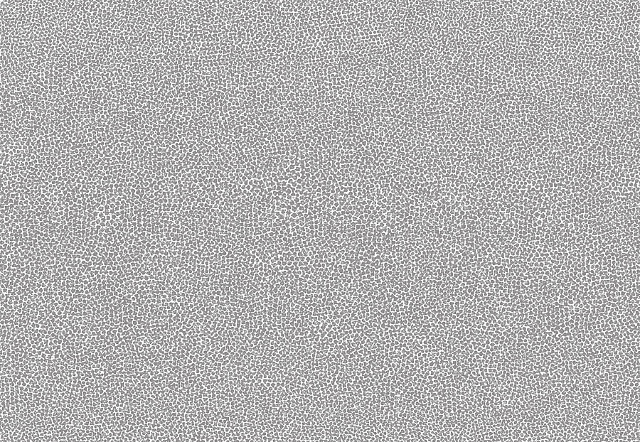 Обои Tiffany Designs Reef RE59