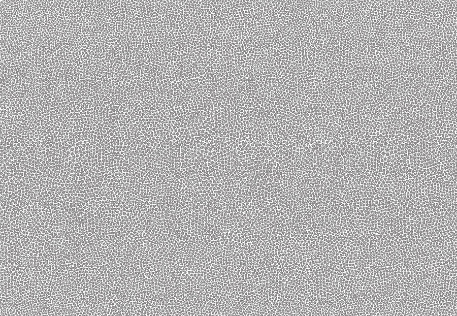 Обои Tiffany Designs Reef RE59