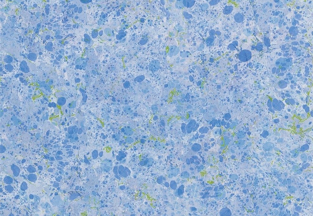 Обои Designers Guild Majolica PDG1025/01