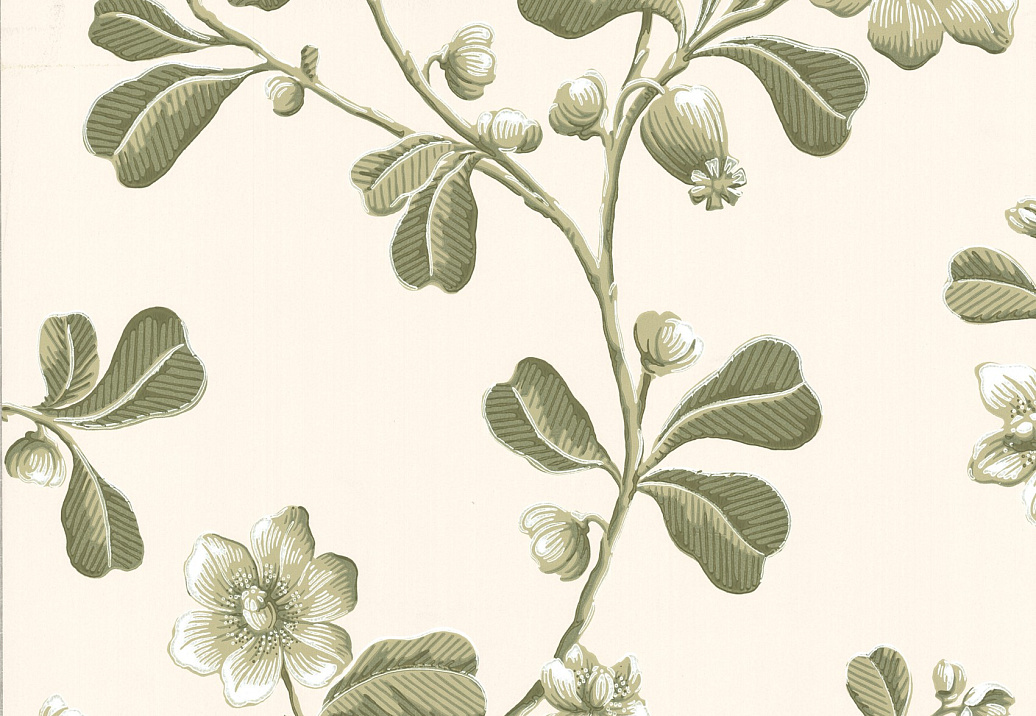 Обои Little Greene London Wallpapers IV 0277BRGARDE