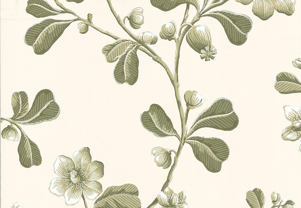 Обои Little Greene London Wallpapers IV 0277BRGARDE