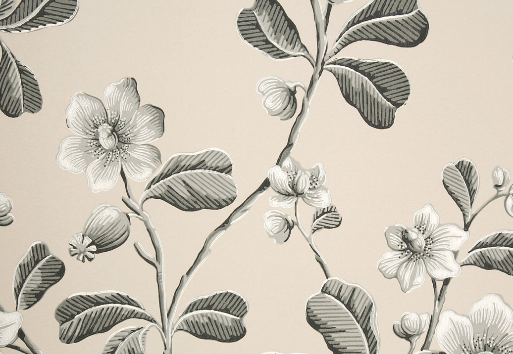 Обои Little Greene London Wallpapers IV 0277BRMONOZ
