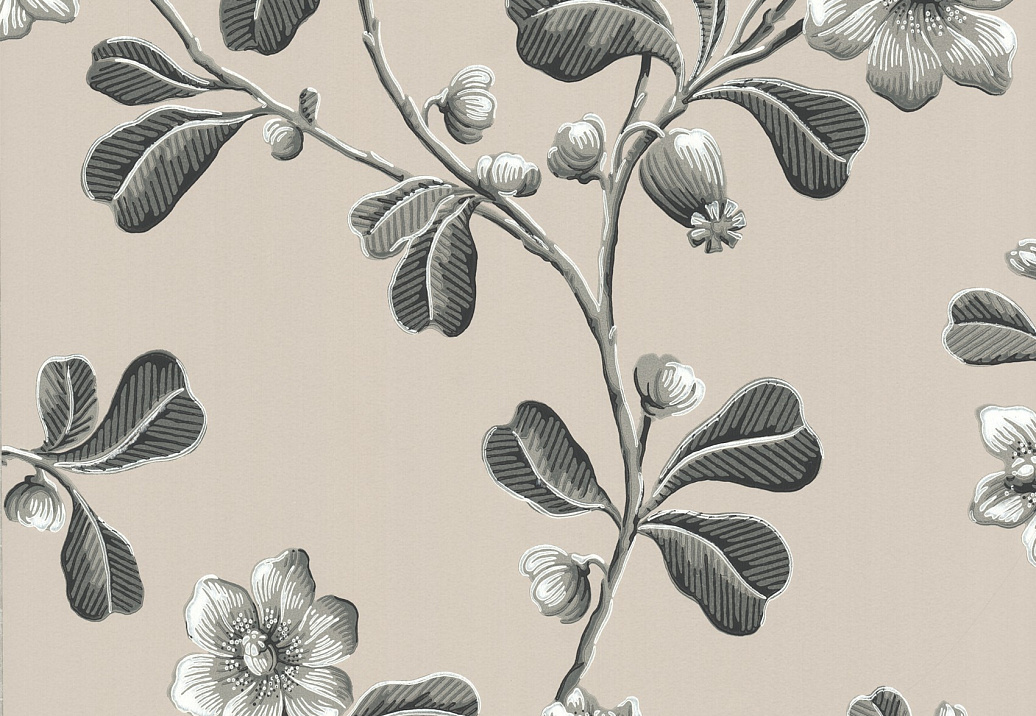 Обои Little Greene London Wallpapers IV 0277BRMONOZ