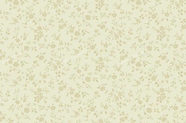 Обои York Roses PN0538