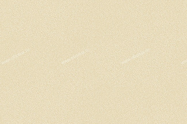 Обои York Candice Olson - Embellished Surfaces COD0136N
