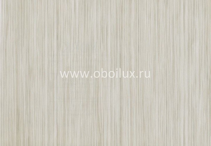 Обои York Color Expressions PX8949