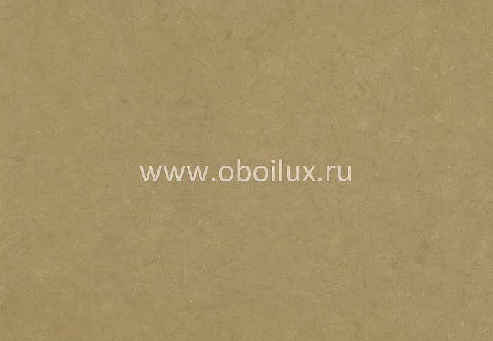 Обои York Color Expressions PX8904