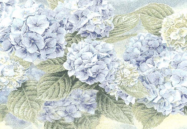 Бордюр Blue Mountain Borders BC1583980