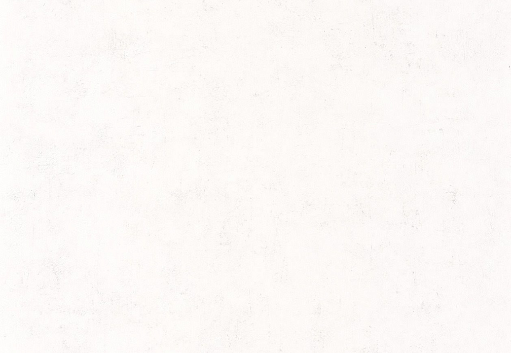 Обои Caselio Beton 101480000
