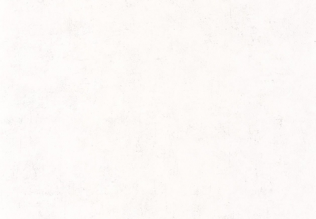 Обои Caselio Beton 101480000
