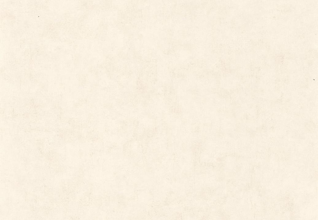 Обои Caselio Beton 101480010