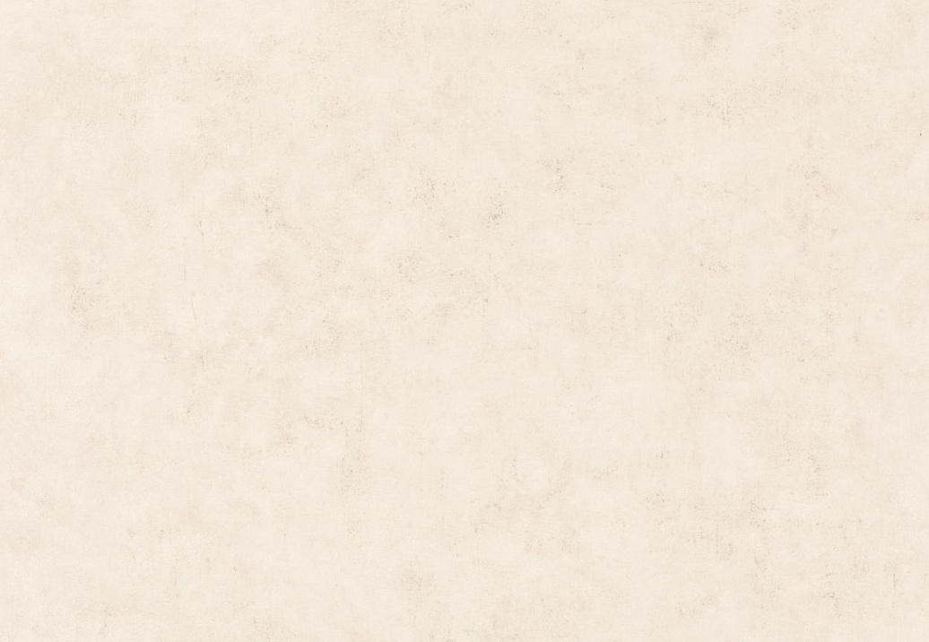 Обои Caselio Beton 101481002