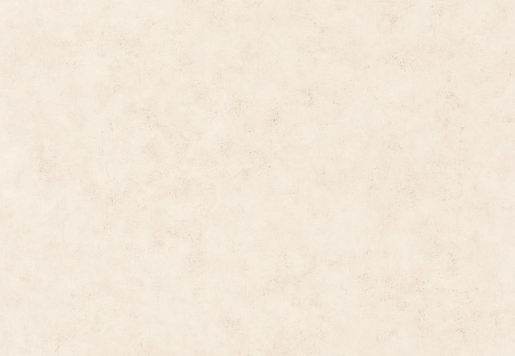 Обои Caselio Beton 101481002