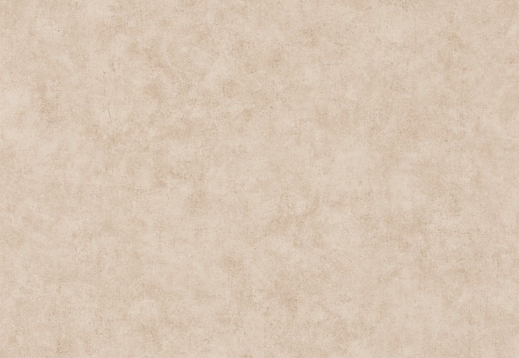 Обои Caselio Beton 101481156