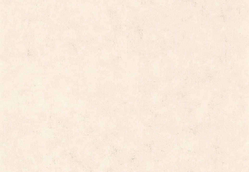 Обои Caselio Beton 101481258