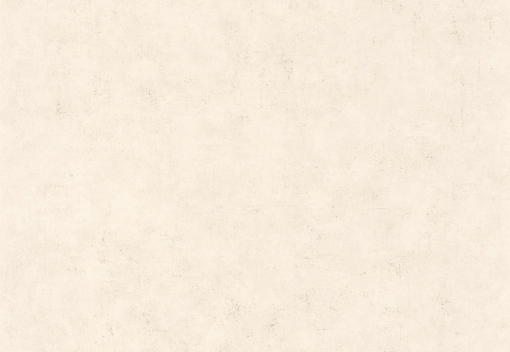 Обои Caselio Beton 101481258