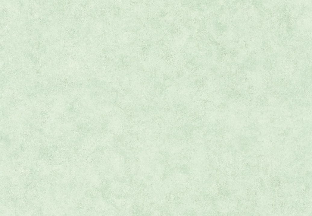 Обои Caselio Beton 101487400