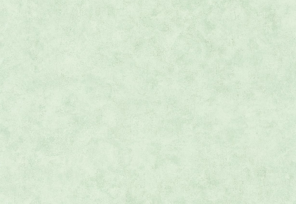 Обои Caselio Beton 101487400