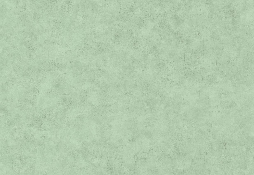 Обои Caselio Beton 101487516