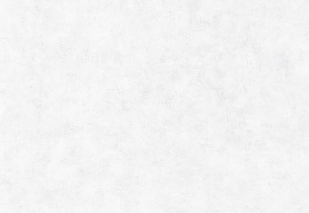 Обои Caselio Beton 101489000