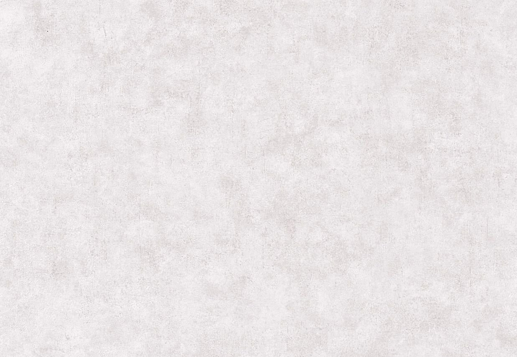 Обои Caselio Beton 101489301
