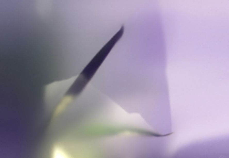 Обои Glamora Creative Wallcovering GLX121A