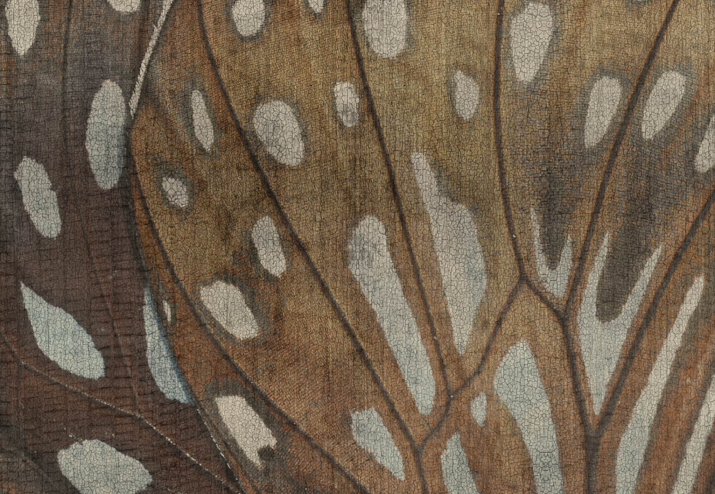Обои Glamora Creative Wallcovering GLOPO111A