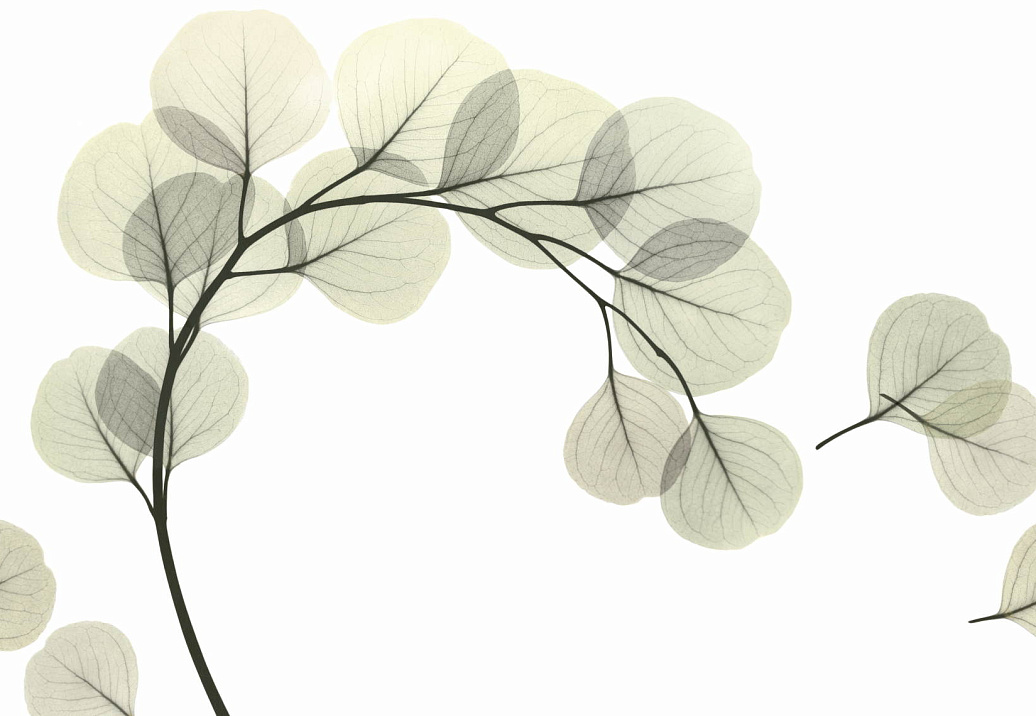 Обои Glamora Creative Wallcovering GL6081A