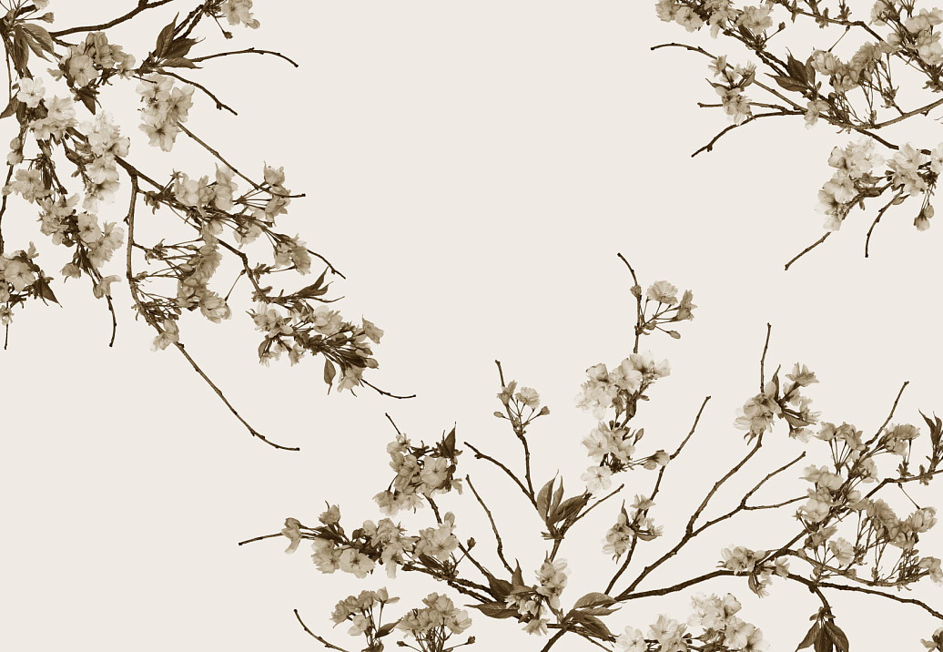 Обои Glamora Creative Wallcovering GL4011A
