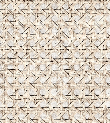 Обои Wall & Deco Elements TSSI043