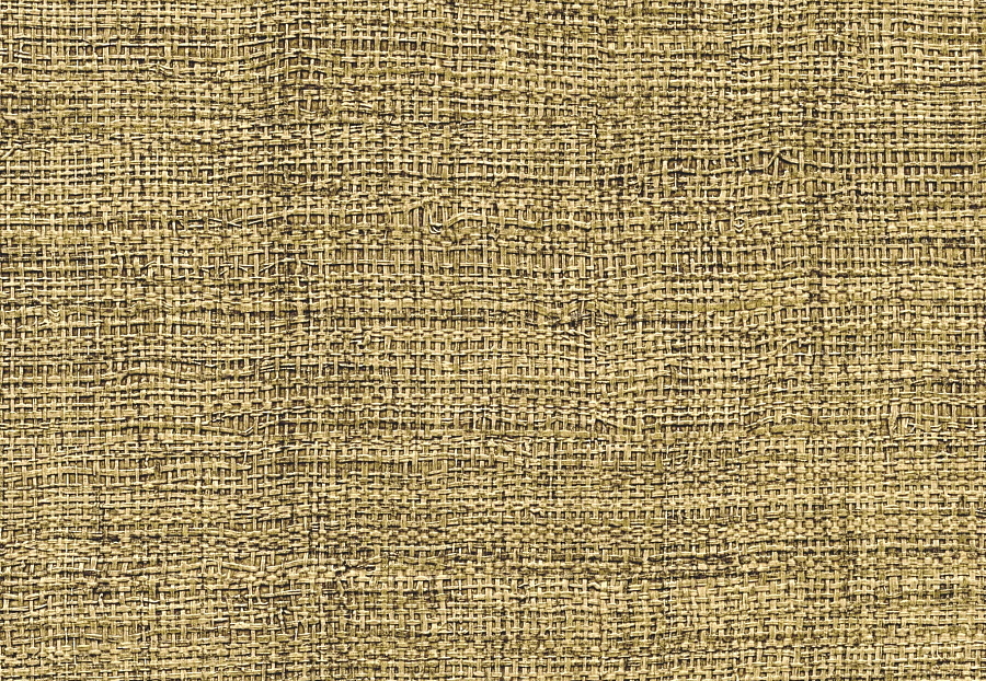 Обои Elitis Raffia & Madagascar VP63140