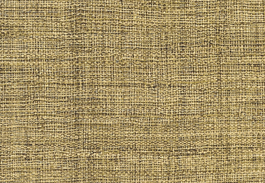 Обои Elitis Raffia & Madagascar VP63140