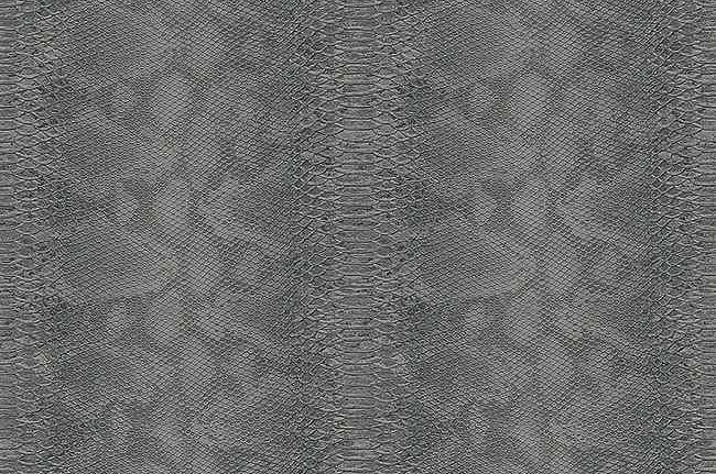 Обои Carl Robinson Edition 17 - Loft CR80400