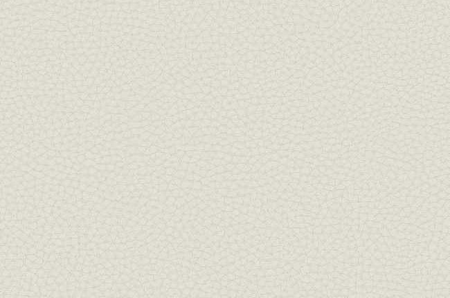 Обои Carl Robinson Edition 17 - Loft CR83001