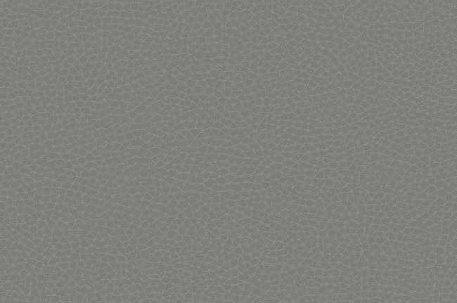 Обои Carl Robinson Edition 17 - Loft CR83002