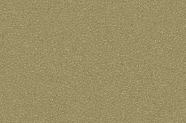 Обои Carl Robinson Edition 17 - Loft CR83005