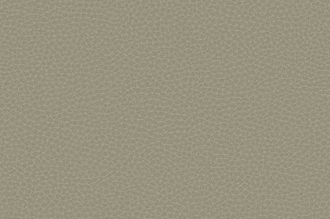Обои Carl Robinson Edition 17 - Loft CR83006