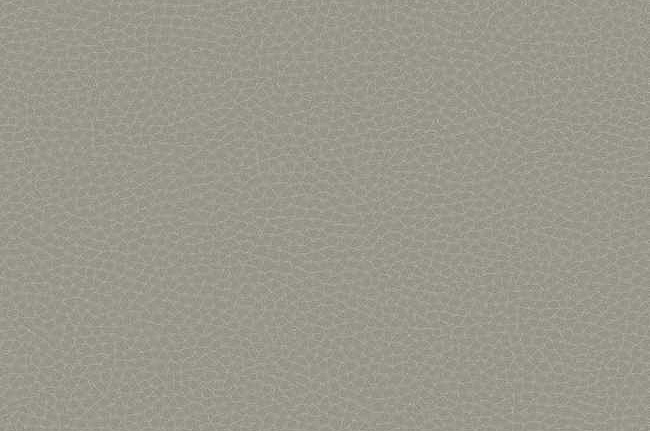 Обои Carl Robinson Edition 17 - Loft CR83008