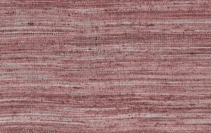 Бельгийские обои Arte, коллекция Textura, артикул 72051A