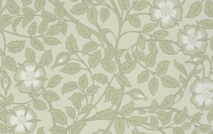 Английские обои Little Greene, коллекция National Trust Papers III, артикул 0263BRGSTON
