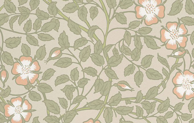 Английские обои Little Greene, коллекция National Trust Papers III, артикул 0263BRGMIST