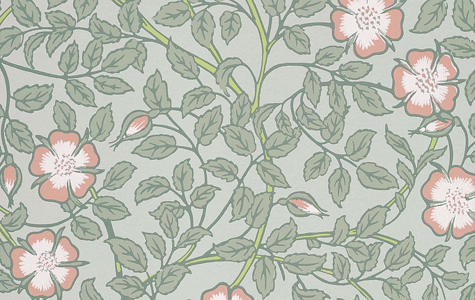Английские обои Little Greene, коллекция National Trust Papers III, артикул 0263BRSALIX