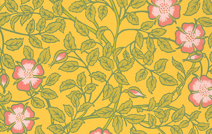 Английские обои Little Greene, коллекция National Trust Papers III, артикул 0263BRINDIA
