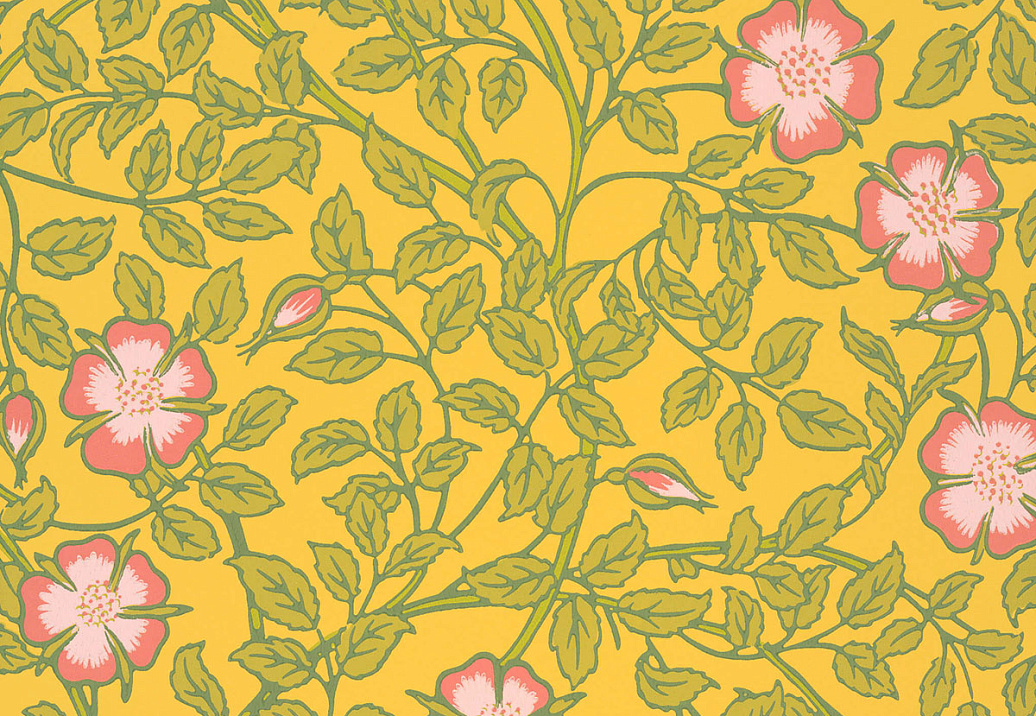 Обои Little Greene National Trust Papers III 0263BRINDIA