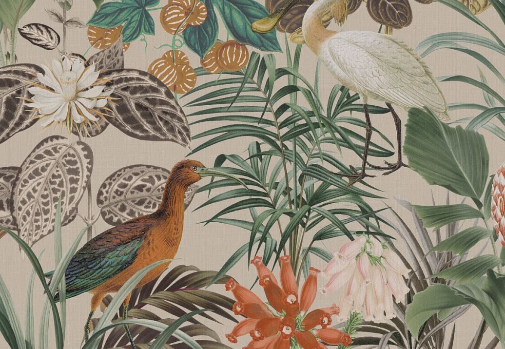 Обои Omexco Birds of Paradise BOP502