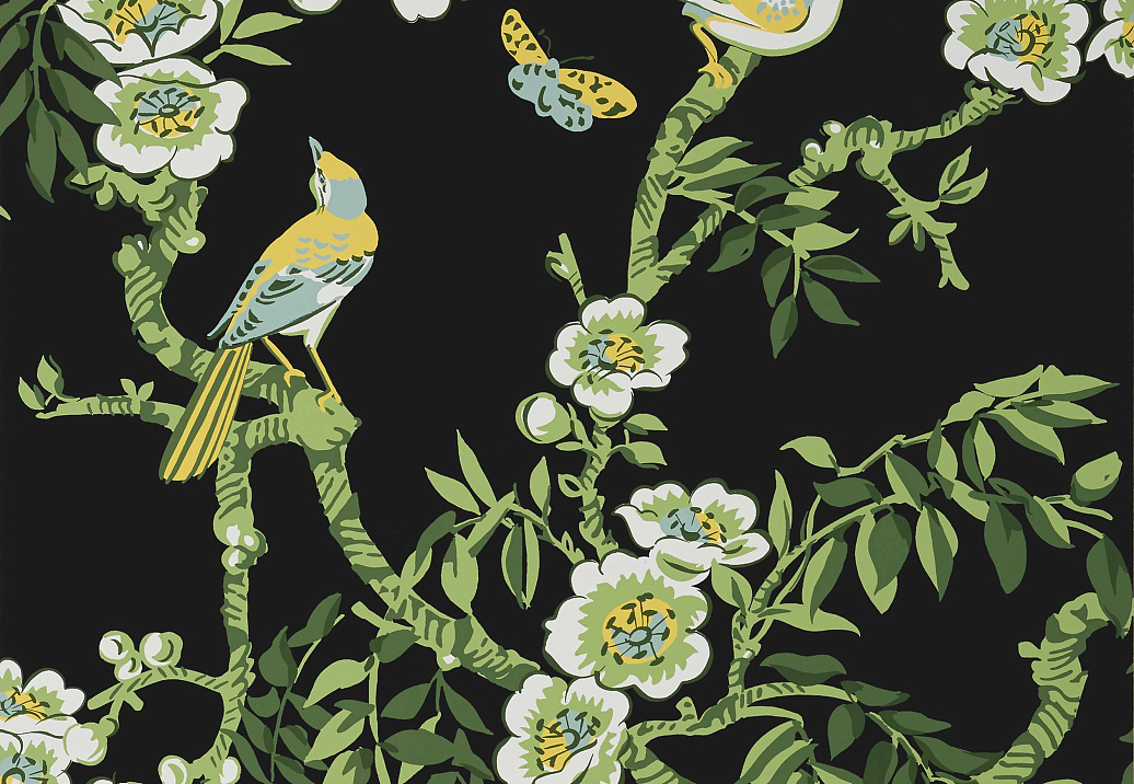 Обои Thibaut Eden T20845