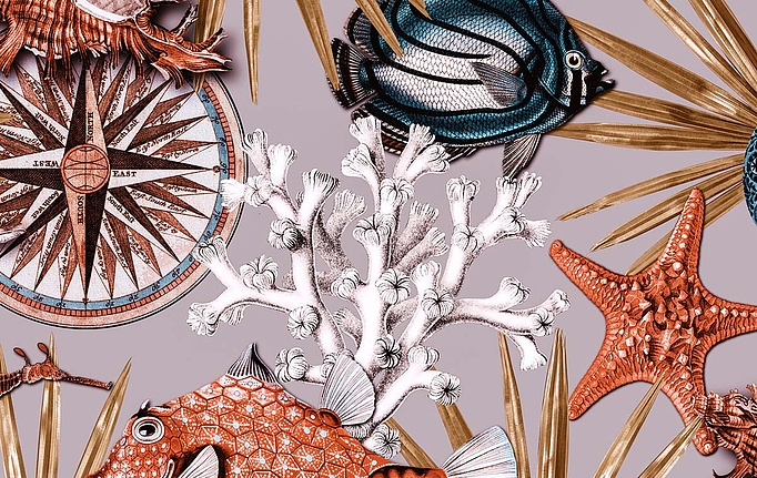 Немецкие обои Emil&Hugo, коллекция Moana, артикул 300870