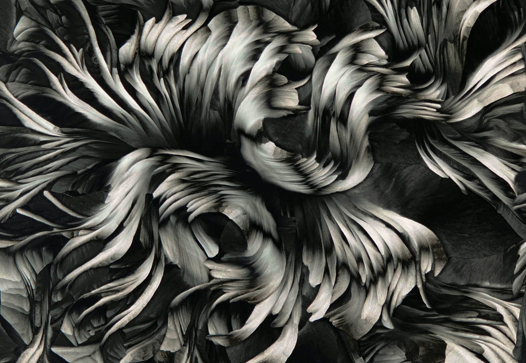 Панно и фотообои Wall & Deco Contemporary Wallpaper Collection 2023 WDAC2302