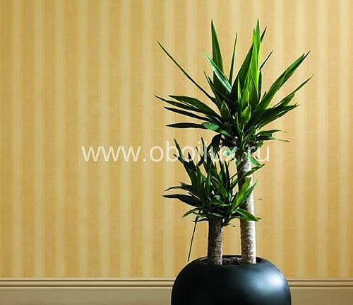 Обои York Carey Lind - Pure NW6470