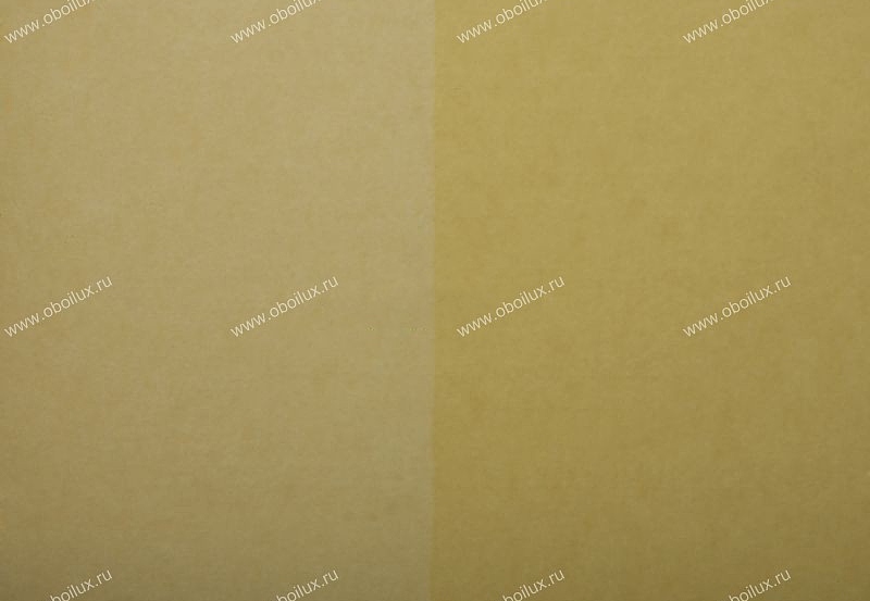 Обои Zoffany Plain & Stripes WAL-05005